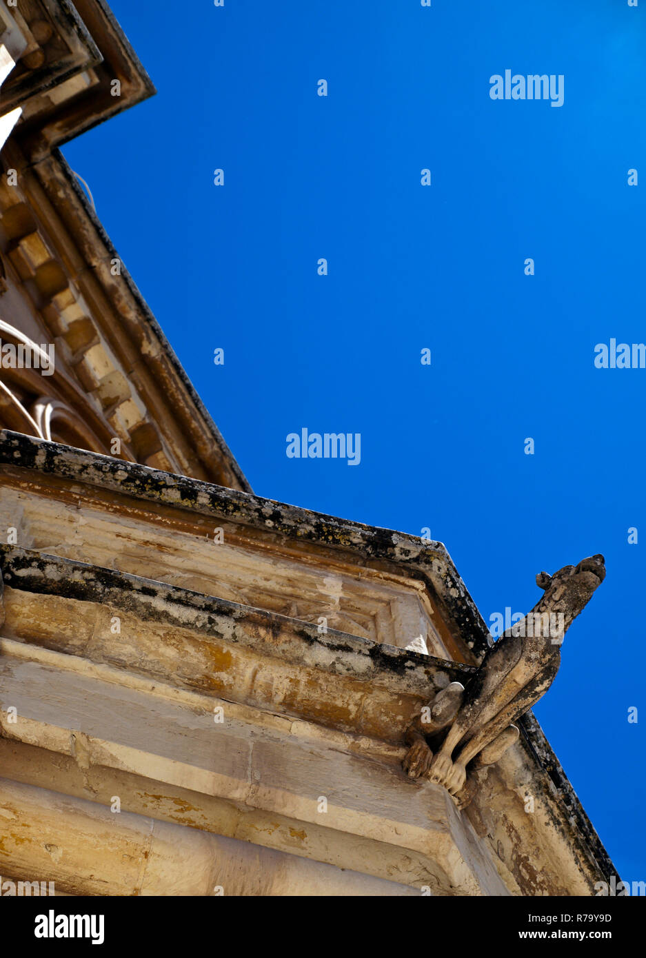 Gargouille gothique Banque D'Images