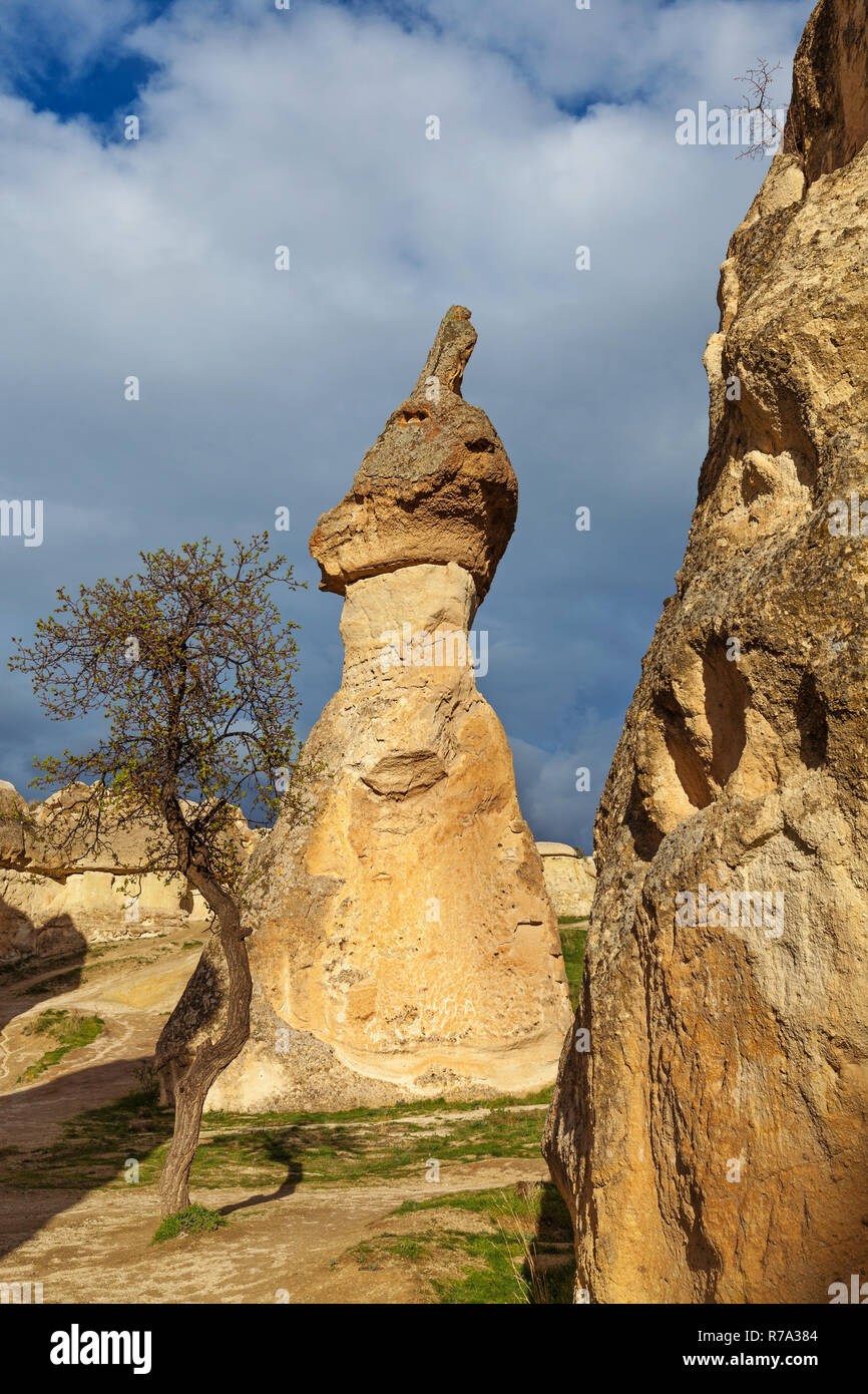 Les falaises de pierre maisons de fées Banque D'Images
