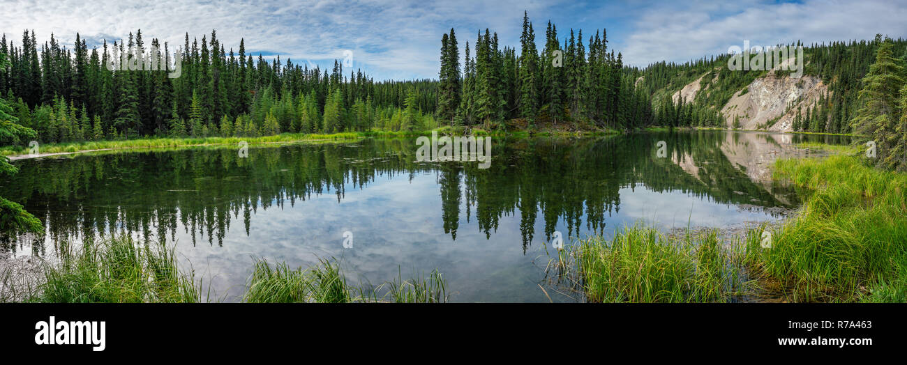 Horseshoe lake réflexion vue dans le parc national Denali, Alaska Banque D'Images