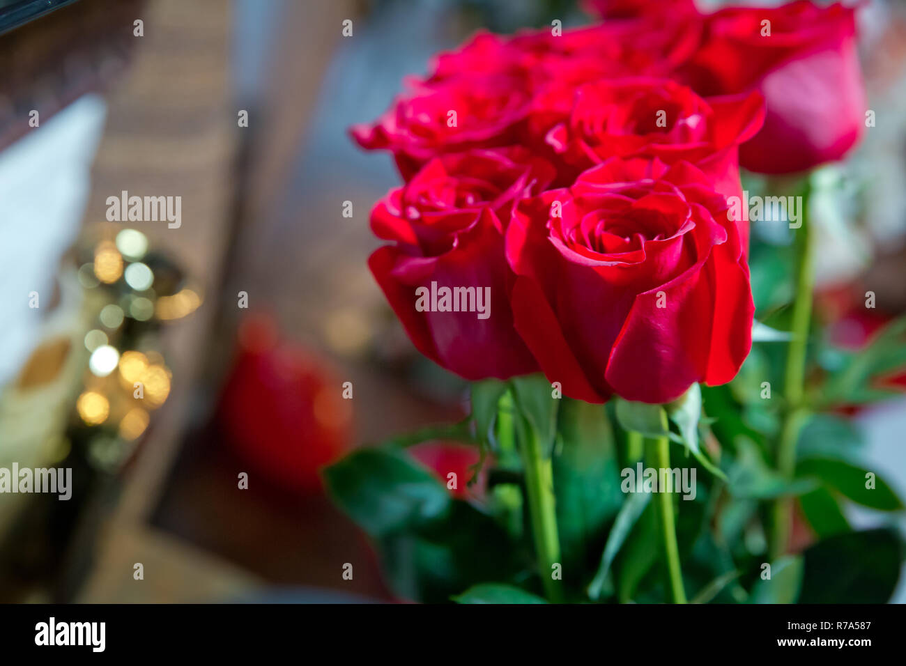 Fleurs roses rouges avec valentine festival et beau bouquet flou contexte . 8 Marc . De très belles fleurs roses rouges . Soft box shot Banque D'Images