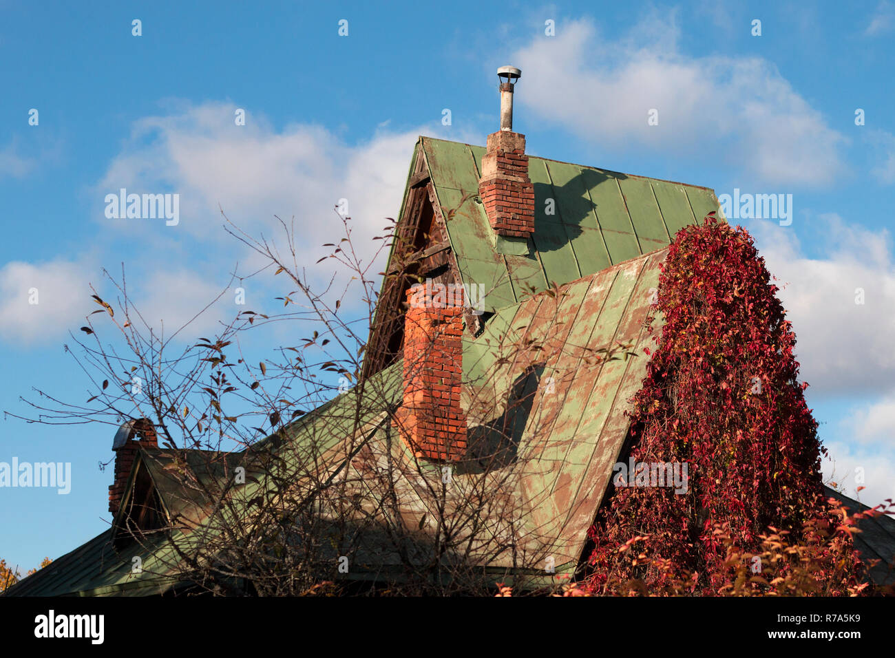 Goblin house avec cheminées et rouge vif des feuilles de vigne sauvage sur une journée ensoleillée d'automne Banque D'Images