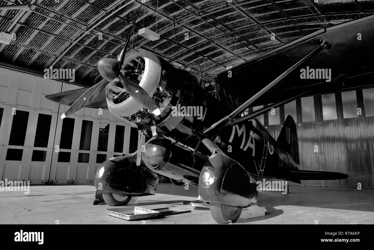 Westland Lysander avions stationnés dans un hangar à Old Warden Banque D'Images