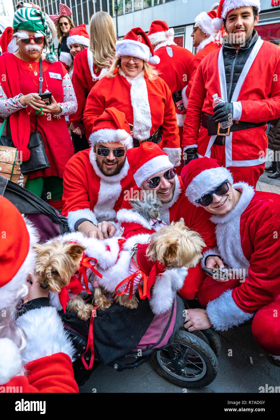 New York, États-Unis, 8 décembre 2018. Revelers habillé en père Noël posent avec des chiots aussi sur Santa outfits au cours de l'Assemblée SantaCon à New York City. Credit : Enrique Shore/Alamy Live News Banque D'Images