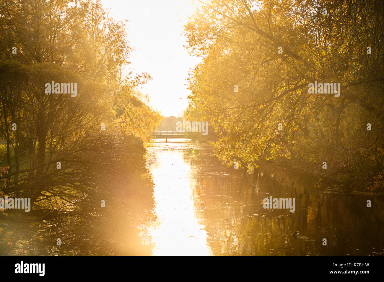 L'automne dans le parc d'or, remblai de la rivière, à quelques personnes sur le pont, journée ensoleillée, temps clair, reflets, leafs sur l'eau, l'ombre des arbres Banque D'Images