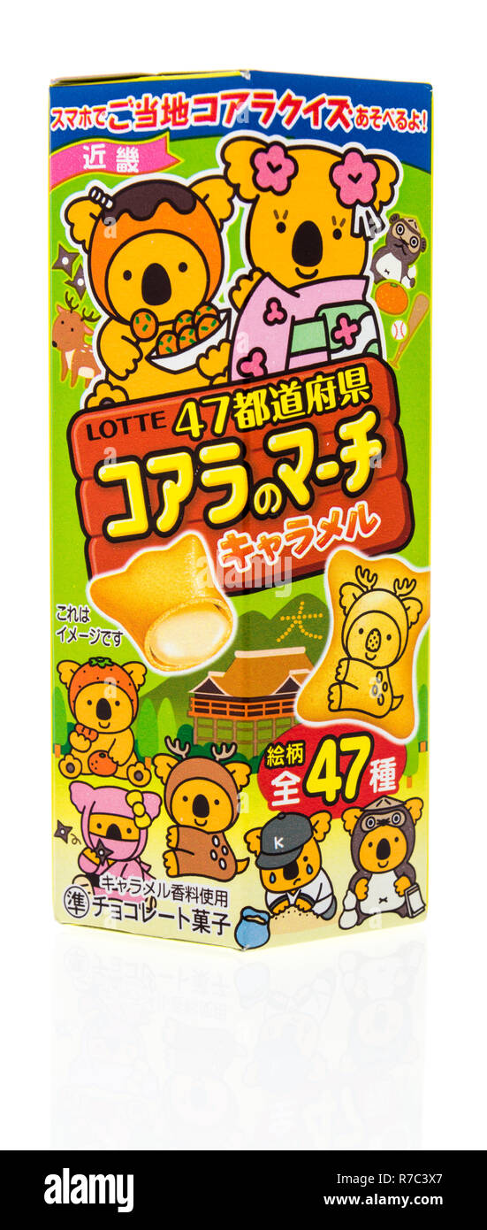 Winneconne, WI - 25 novembre 2018 : un paquet de Lotte Koala's animal creackers en provenance de Corée du Sud sur un fond isolé. Banque D'Images