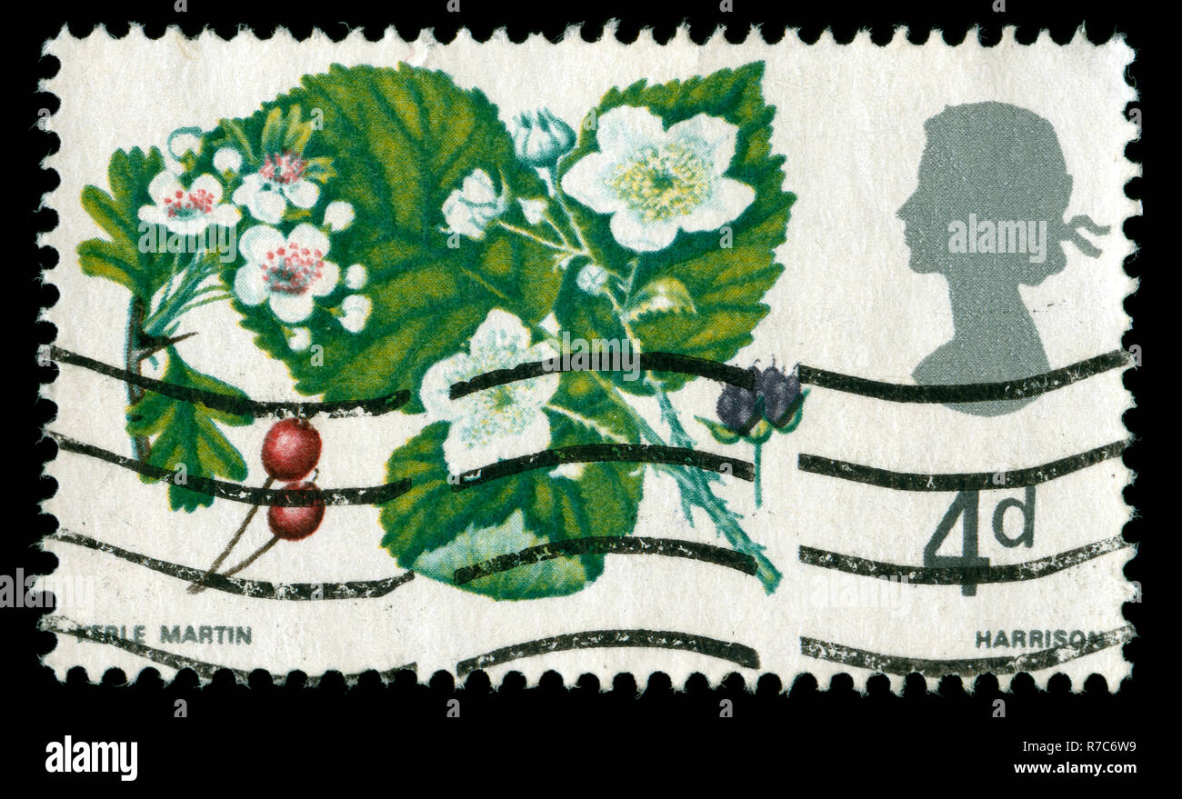 Timbre-poste à partir de la Grande-Bretagne dans les fleurs sauvages série émise en 1967 Banque D'Images