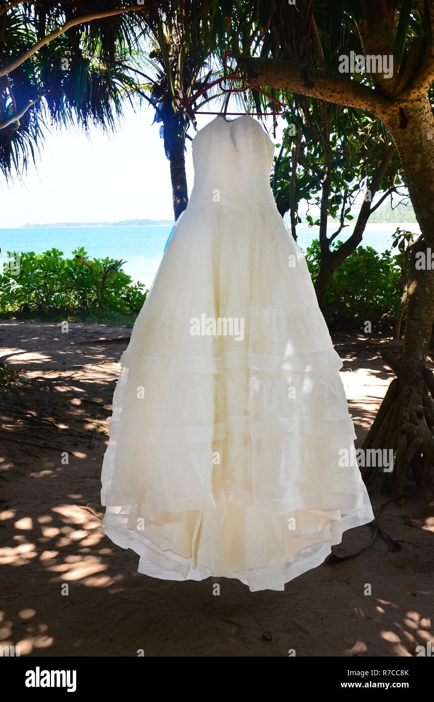 Accrochee A La Robe De Mariee Robe de mariée blanche accrochée à un cintre sur un palmier. Mariée,  mariage et lune de miel dans les tropiques de l'île de Sri Lanka Photo  Stock - Alamy