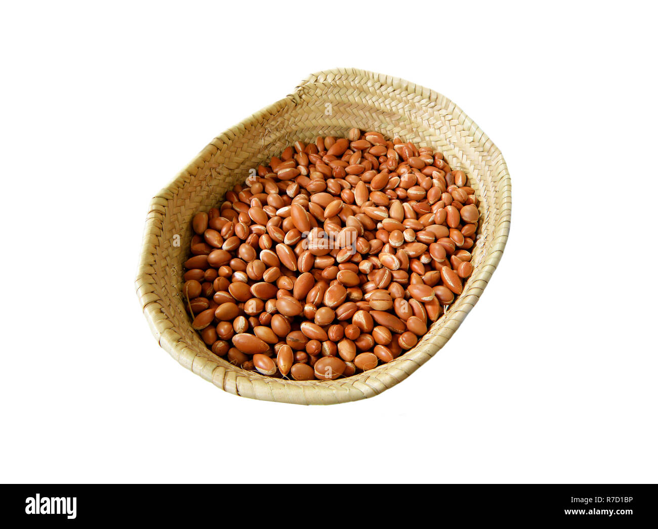 Un panier de noix d'Argan du Maroc pour l'extraction de l'huile d'Argan, Essaouira, Maroc Banque D'Images