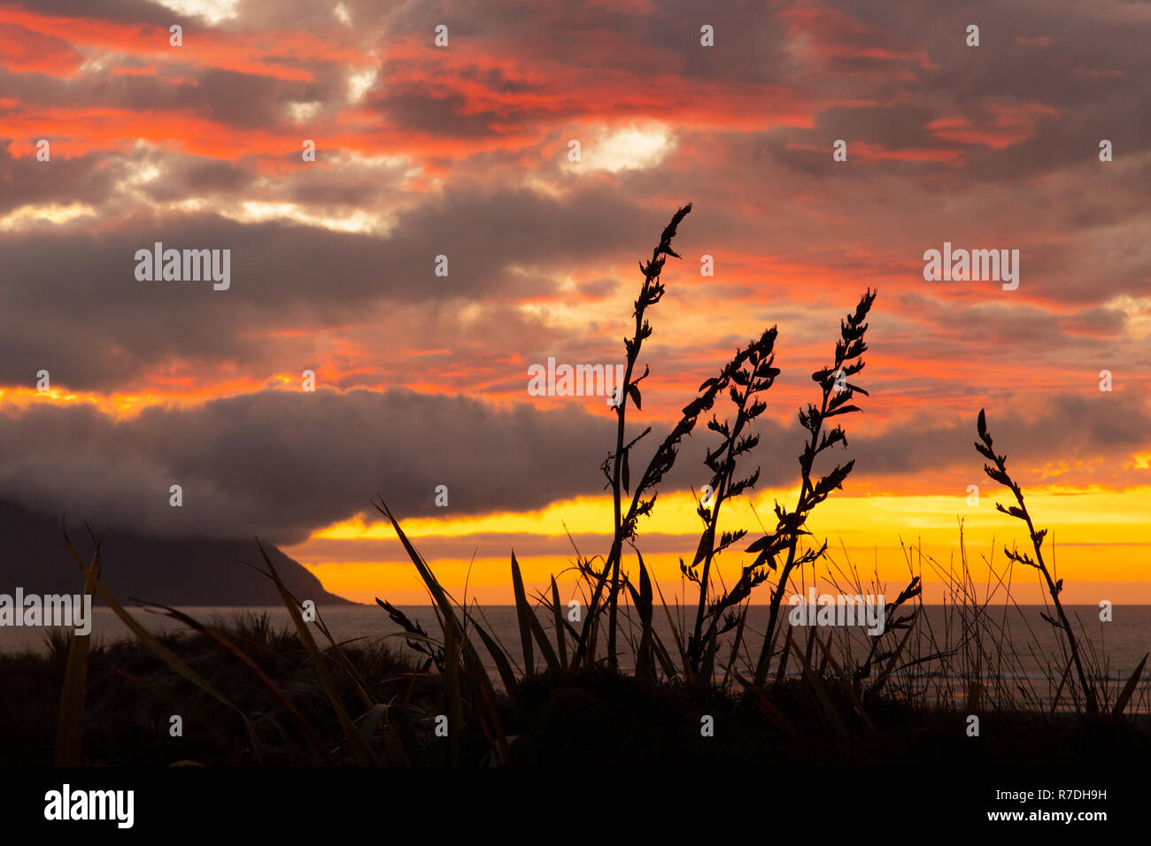 Coucher du soleil à Big Bay, côte ouest, Nouvelle-Zélande Banque D'Images