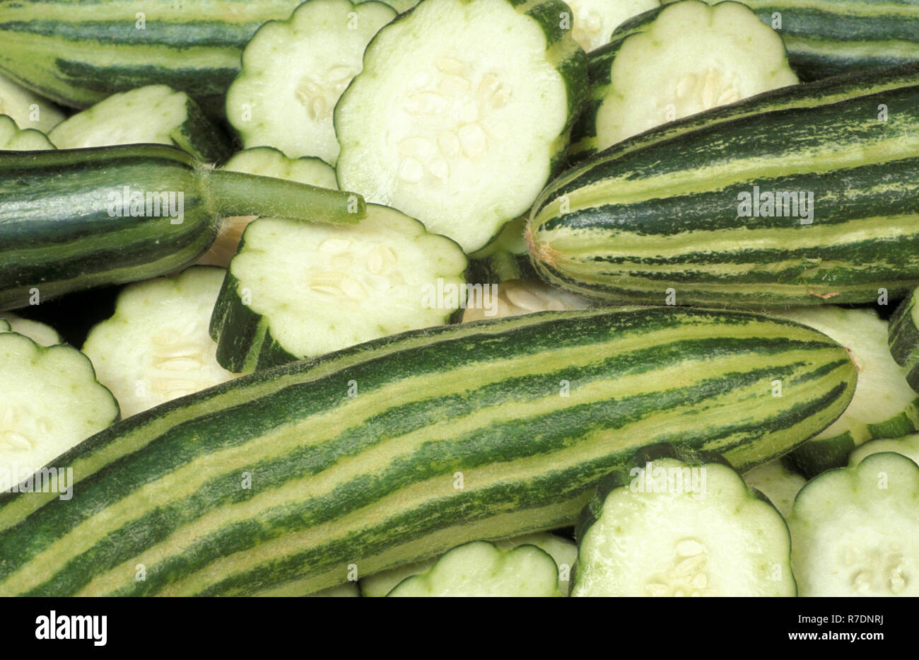 Le concombre (Cucumis melo arménienne FLEXUOSUS) et les tranches de concombre PLEIN Banque D'Images