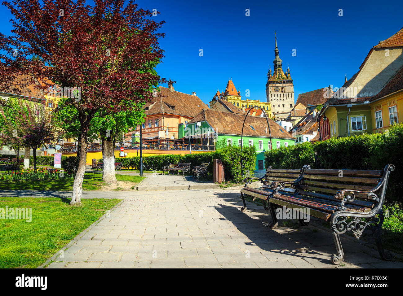 Belle destination de voyage en Transylvanie, en centre-ville jardin ornemental avec chemin et bancs, Sighisoara, Transylvanie, Roumanie, Europe Banque D'Images