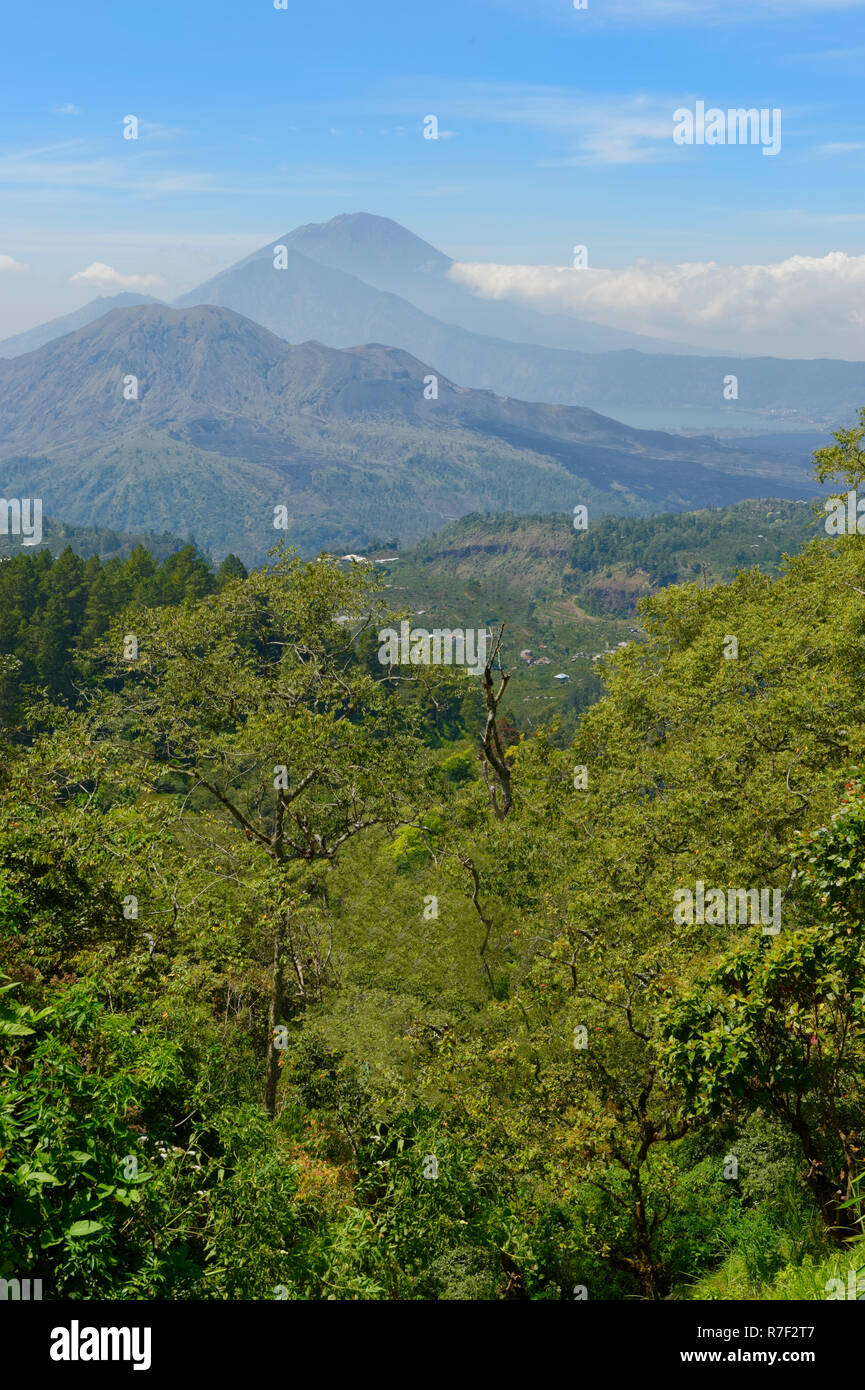 Batur volcano, Bali, Indonésie Banque D'Images