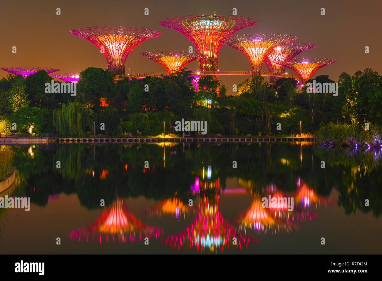 Supertrees, jardins de la baie se reflétant dans l'eau la nuit, Singapour Banque D'Images