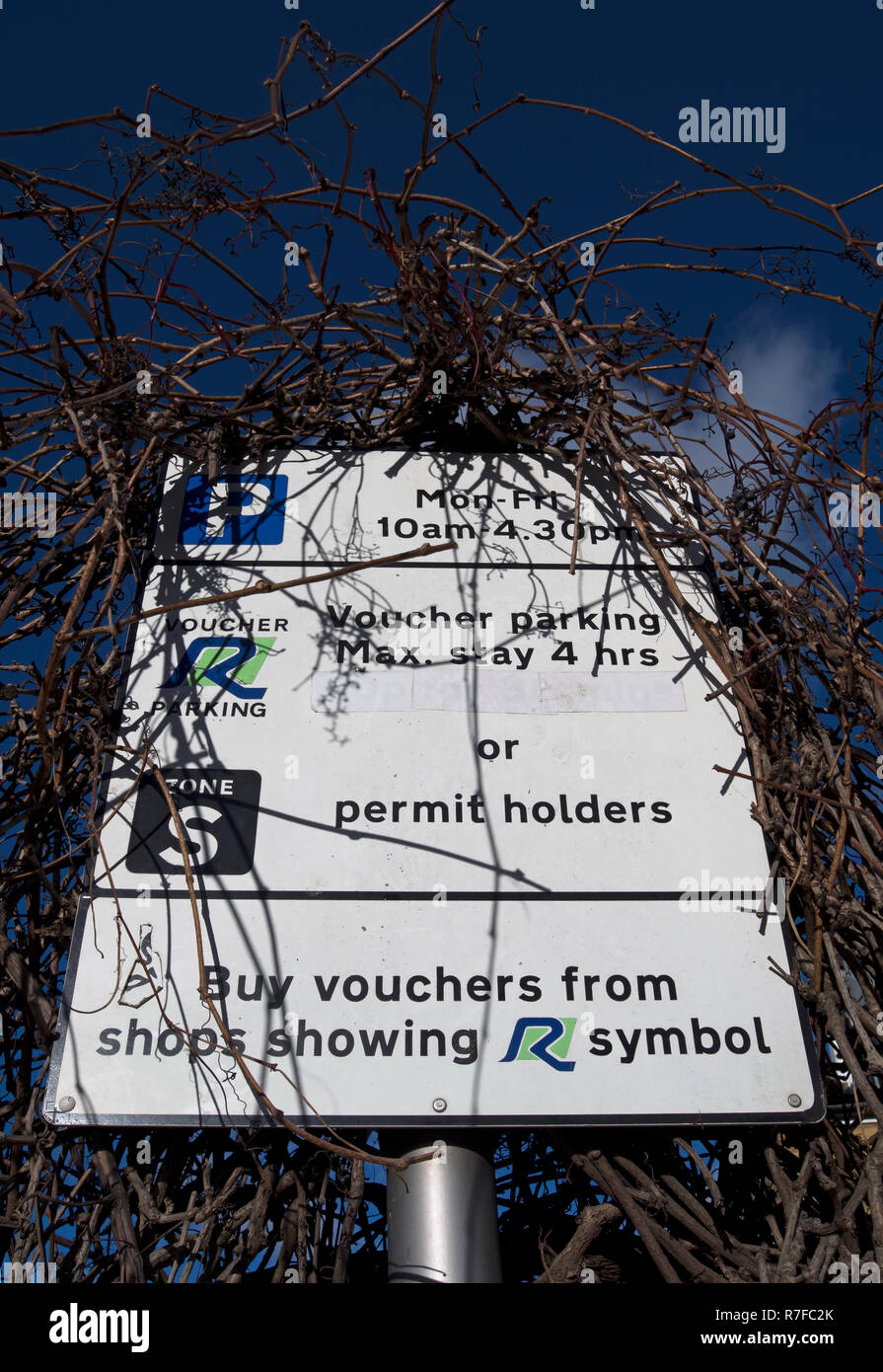 Panneau routier donnant des détails sur les restrictions de stationnement partiellement obscurci par les branches d'arbres, dans le quartier de Richmond upon Thames, London, England Banque D'Images