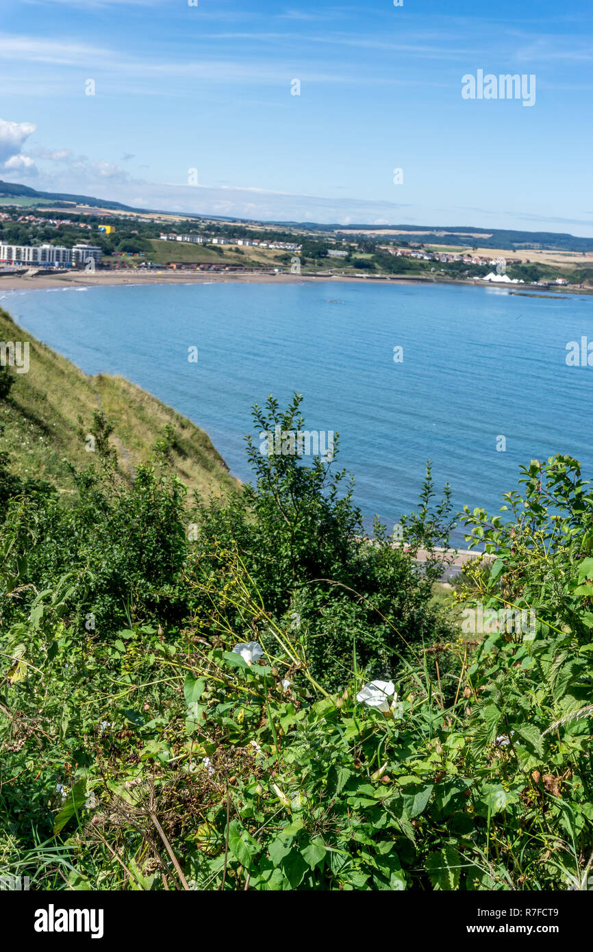 Vue sur la baie de Scarborough, Scarborough, North Yorkshire, Angleterre, Royaume-Uni, Europe Banque D'Images