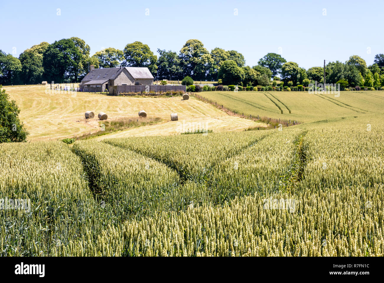 Paysage vallonné avec un champ de blé, une ferme et des balles de paille dans la campagne normande sous un brillant soleil d'été. Banque D'Images