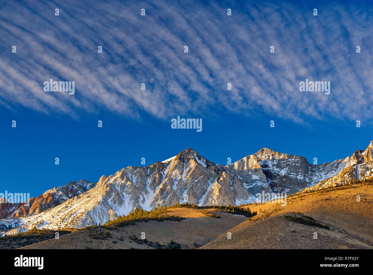 Les cirrus au-dessus du Mont Humphrey dans la partie Est de la Sierra Nevada en hiver vu de babeurre Road près de Bishop, en Californie, USA Banque D'Images