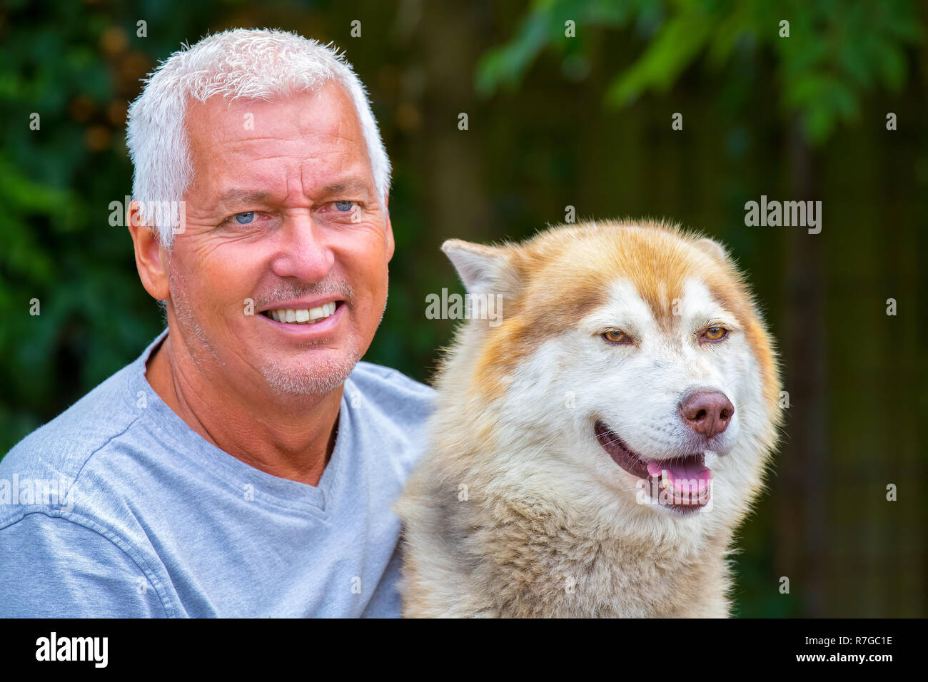 Portrait d'homme avec chien husky adultes Banque D'Images