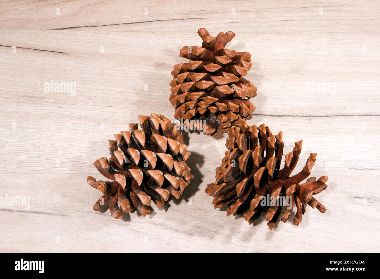 Trois cônes de cèdre séché venu ouvert avec graines retirées allongé sur light wooden board Banque D'Images