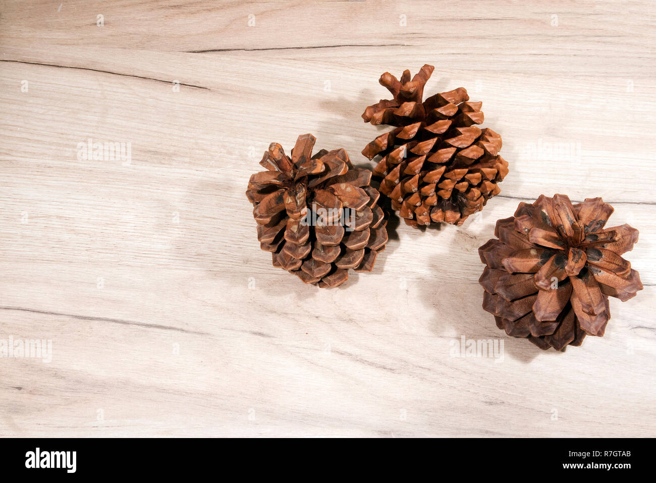 Trois cônes de cèdre séché venu ouvert avec graines retirées allongé sur light wooden board Banque D'Images