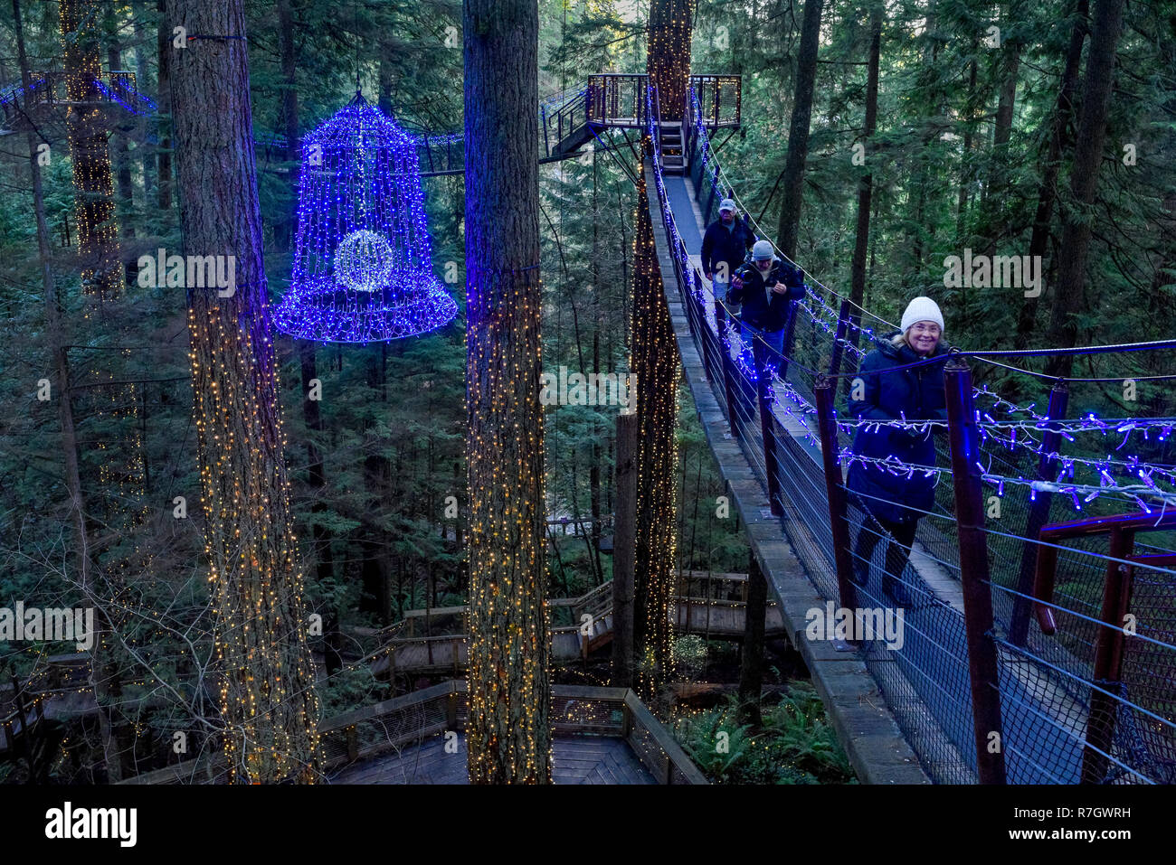 Le Treetops Adventure et Canyon Lights, Capilano Suspension Bridge Park, North Vancouver, Colombie-Britannique, Canada Banque D'Images