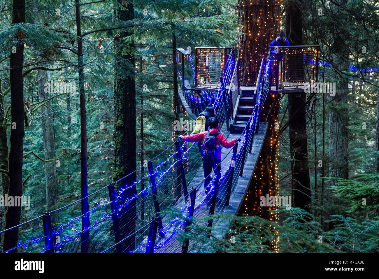 Le Treetops Adventure et Canyon Lights, Capilano Suspension Bridge Park, North Vancouver, Colombie-Britannique, Canada Banque D'Images