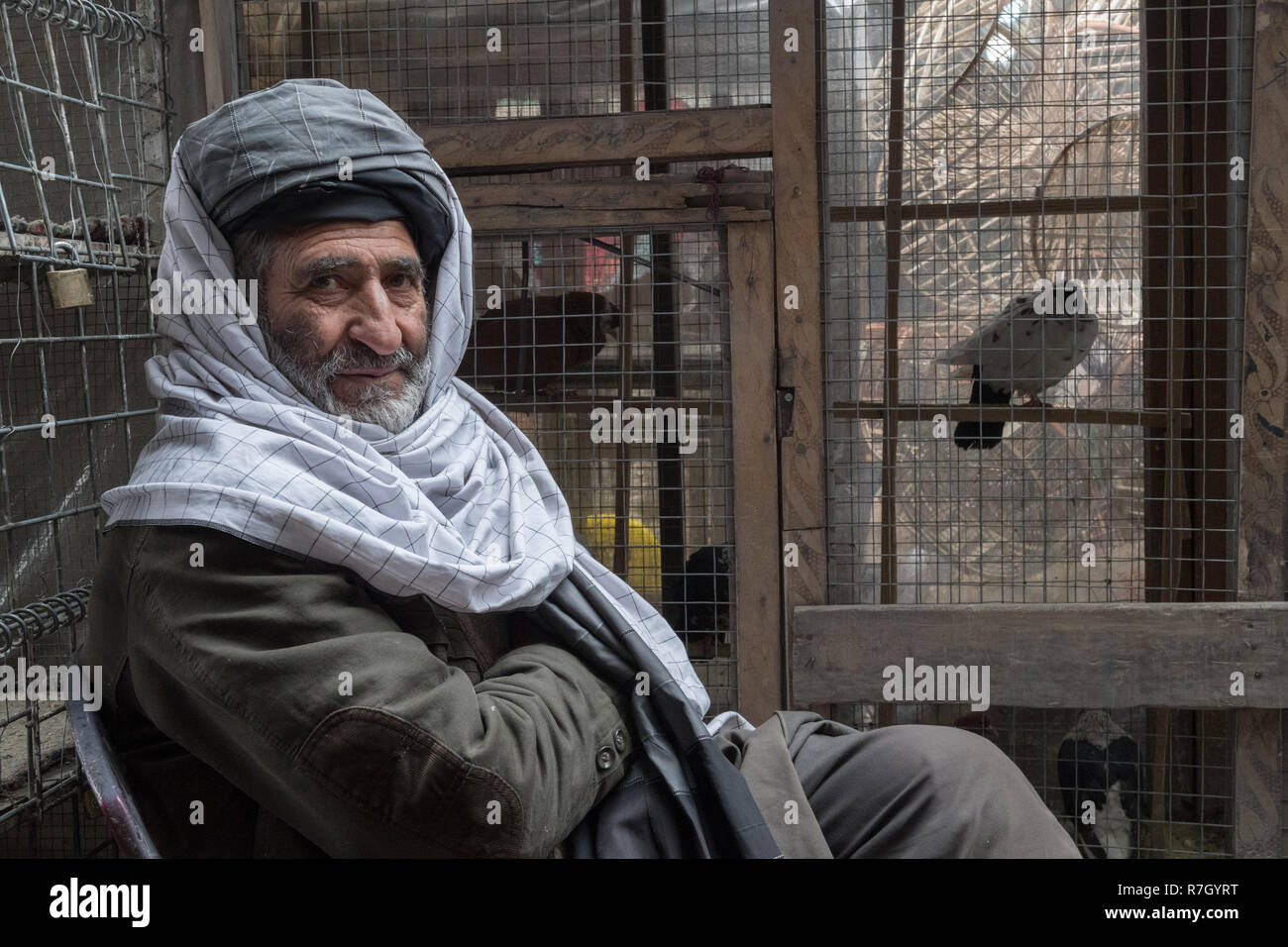 Un vieil homme Bazaari à la Bird's Bazaar, Kaboul, province de Kaboul, Afghanistan Banque D'Images