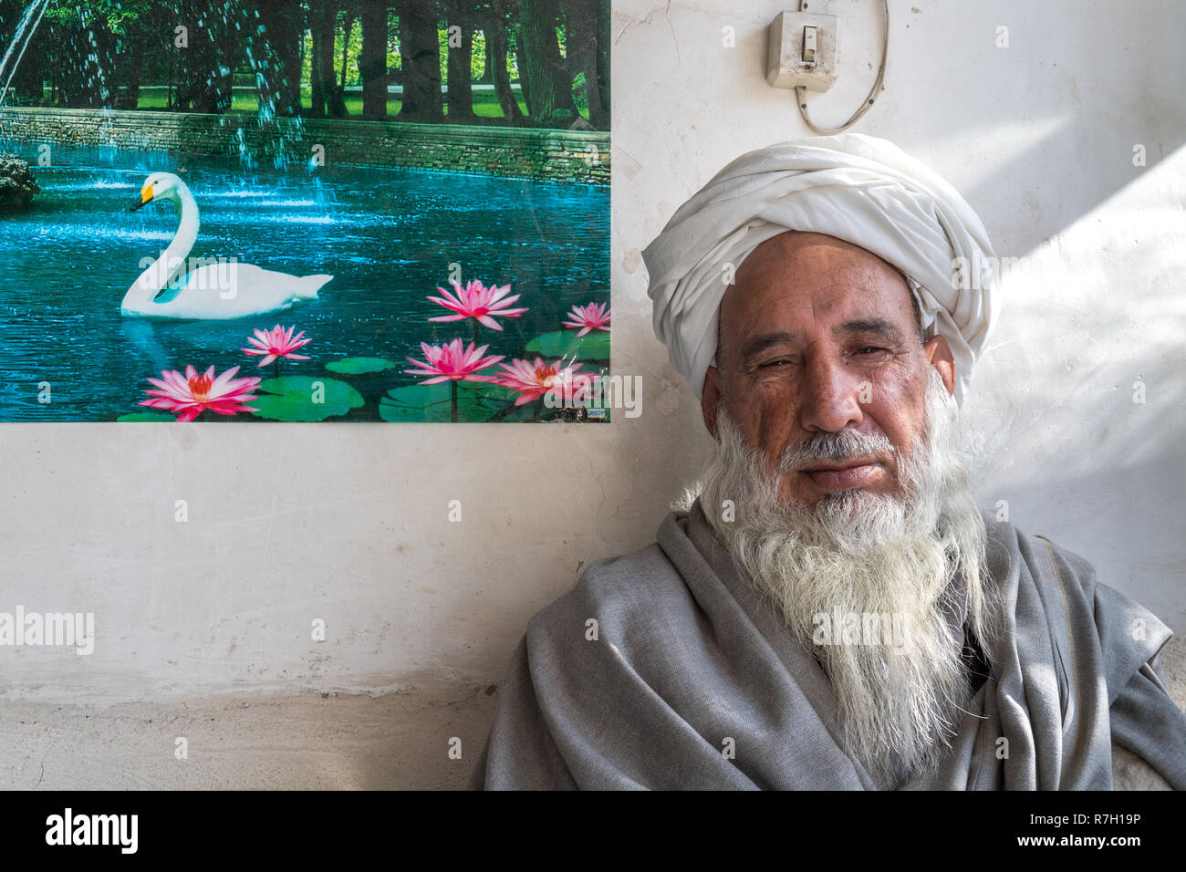 Vieil homme assis dans une boutique près de la mosquée bleue avec une photo d'un cygne sur un étang à l'arrière-plan, Herat, province de Herat, Afghanistan Banque D'Images