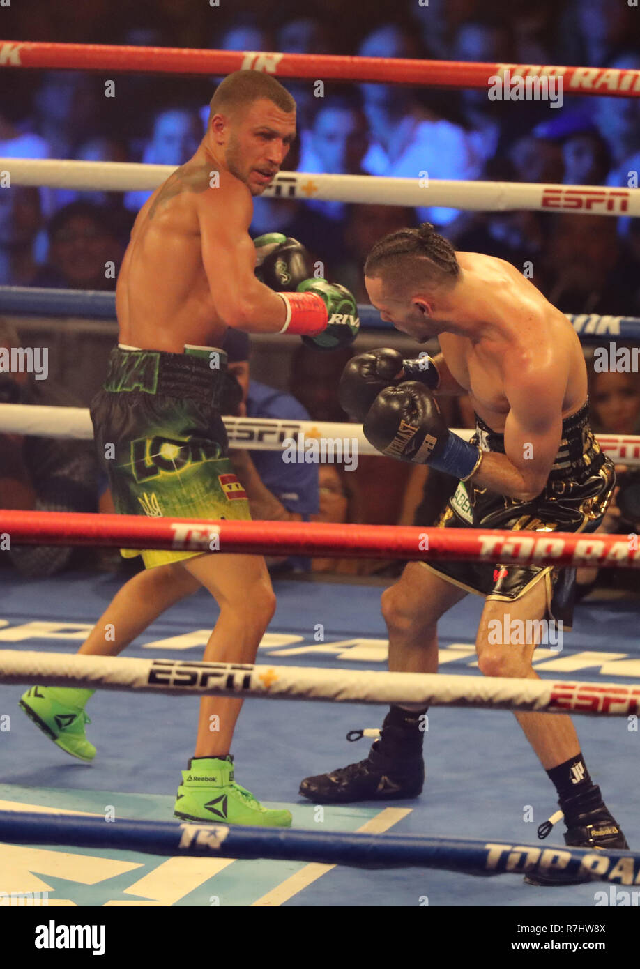 Champion du monde Vassily Lomachenko léger de l'Ukraine (en vert les lignes) en action au cours de l'unification titre lutte contre Jose Pedraza Banque D'Images