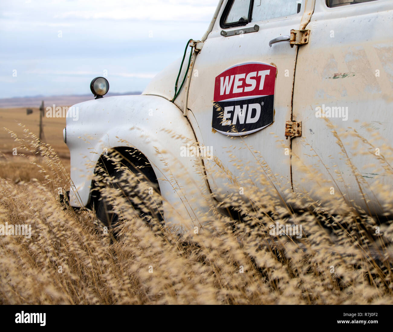 Bière du West End d'Australie méridionale Banque D'Images