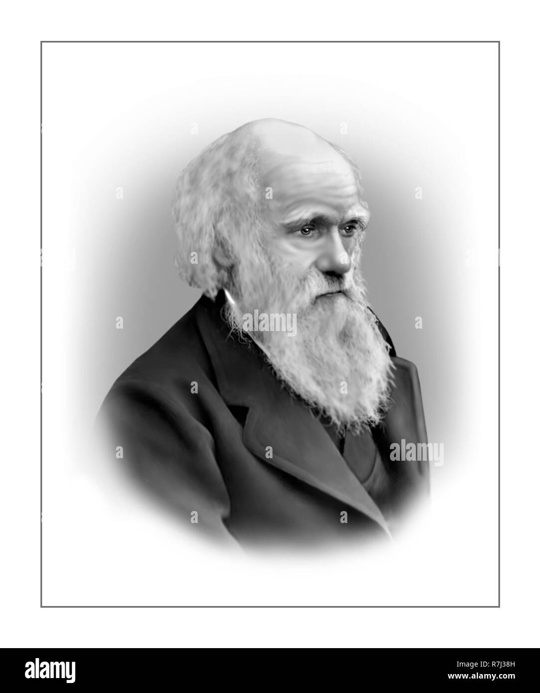 1809 - 1882 Charles Darwin Naturaliste anglais Banque D'Images