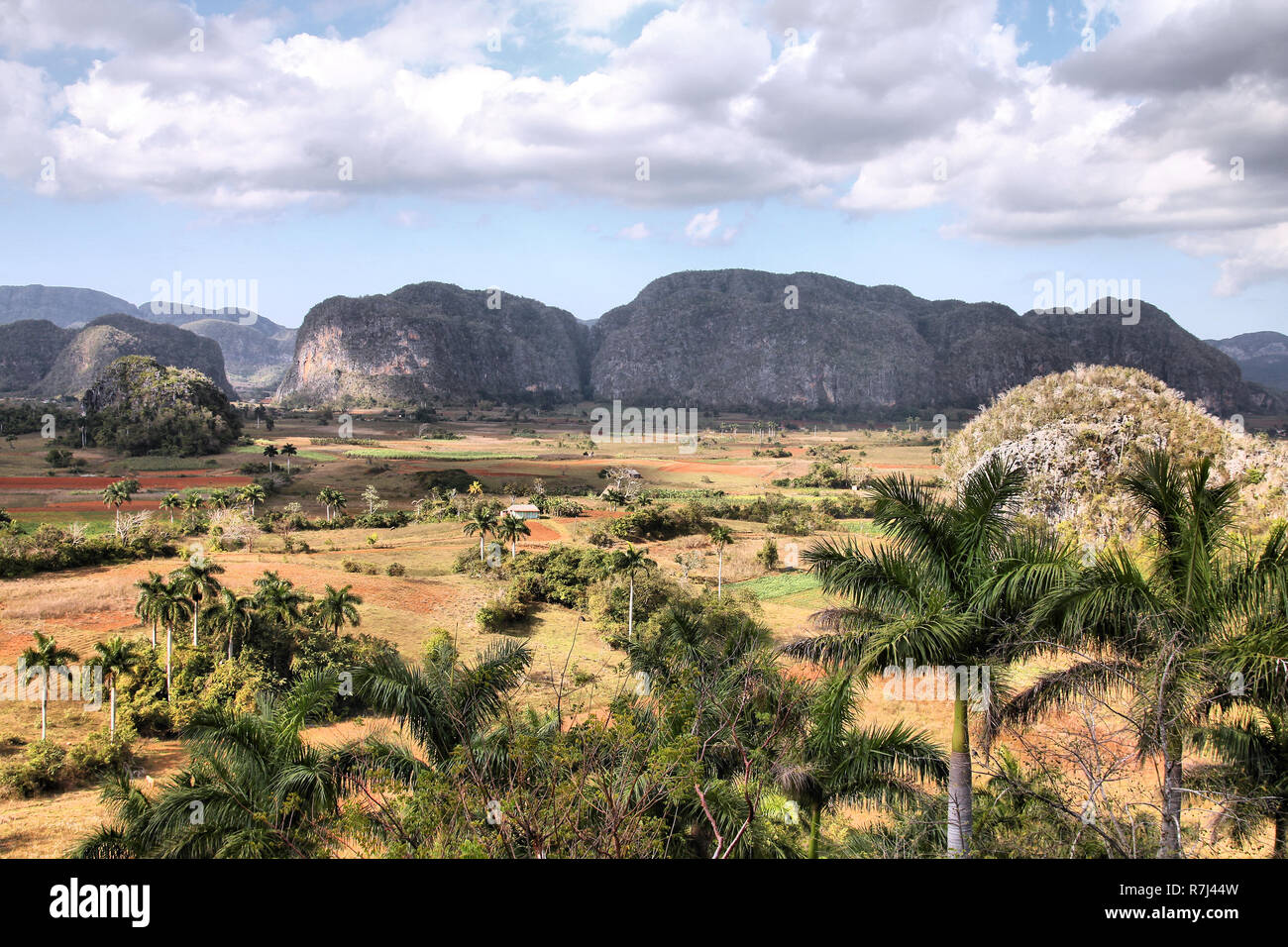 Cuba - célèbre paysage karstique des mogotes de Viñales National Park.  UNESCO World Heritage Site Photo Stock - Alamy