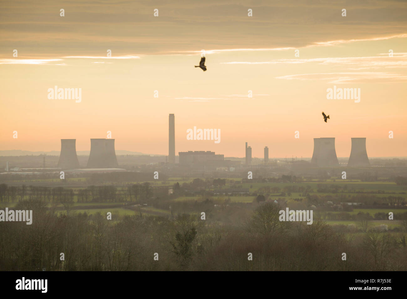 Red kites survoler Little Wittenham, Oxfordshire, Didcot avec Power Station derrière, photographié juste avant la démolition des tours de refroidissement du Sud Banque D'Images