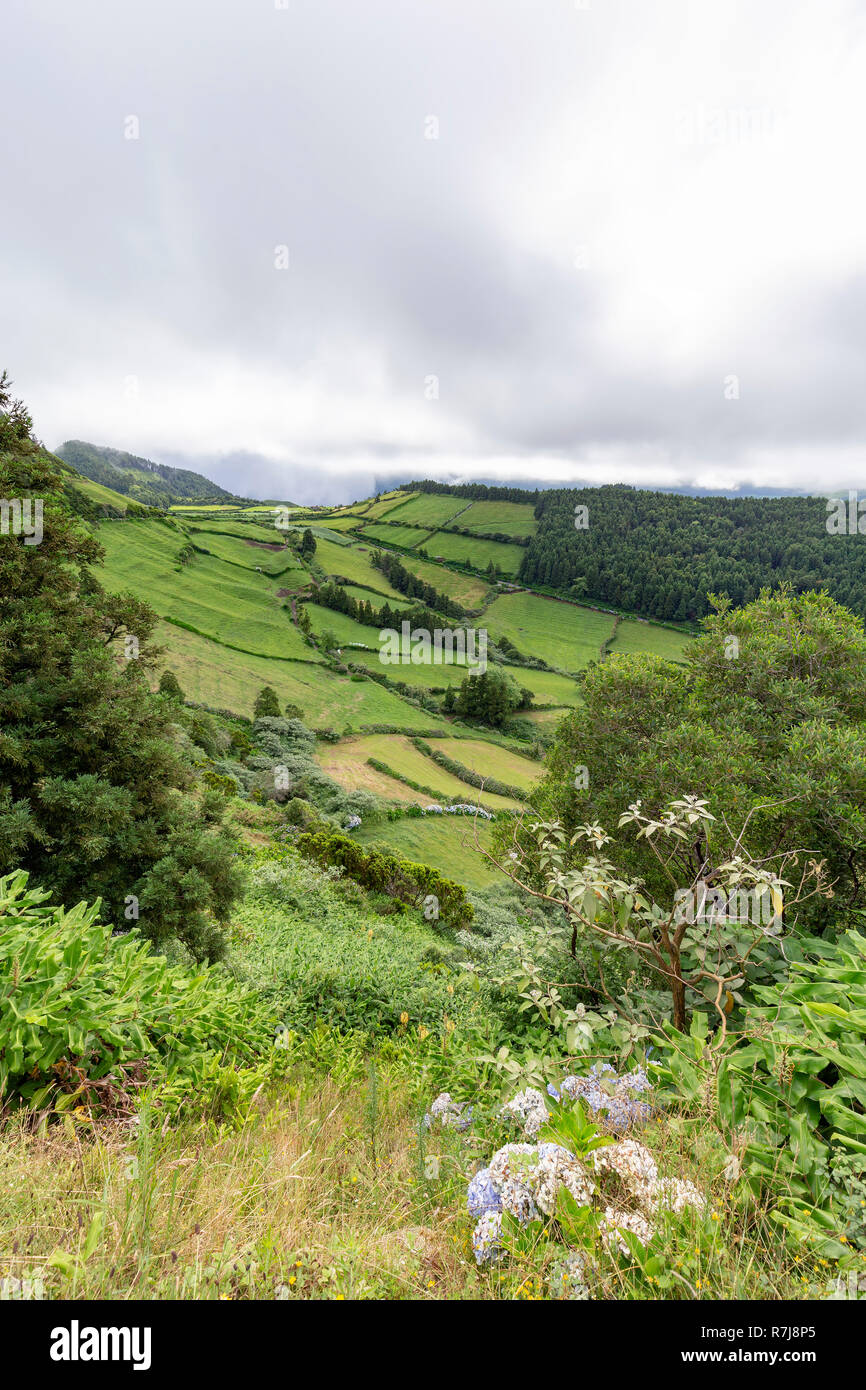 Vue Portrait de pâturages jusqu'à la Caldeira Do Alferes sur l'île de Sao Miguel aux Açores. Banque D'Images