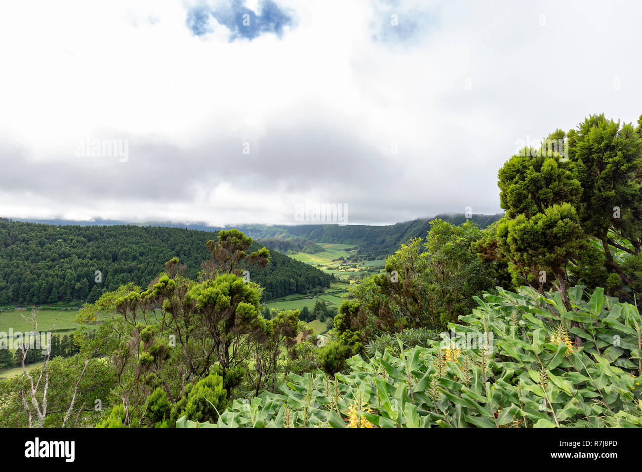 Verts vifs dans l'énorme cratère Cete Cidades sur Sao Miguel. Banque D'Images