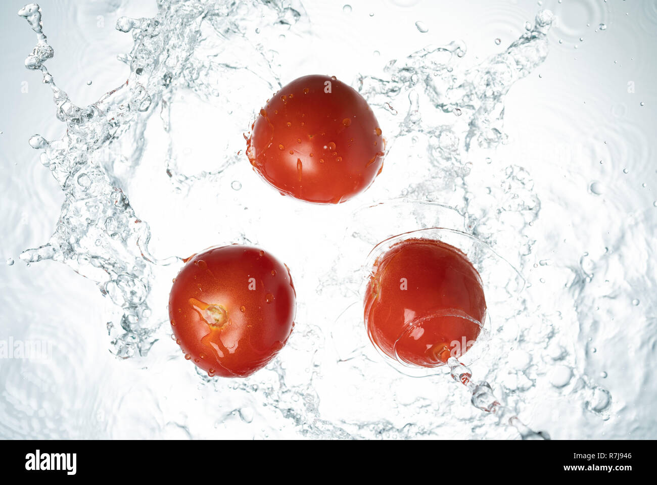Les tomates les éclaboussures d'eau sur fond blanc Banque D'Images