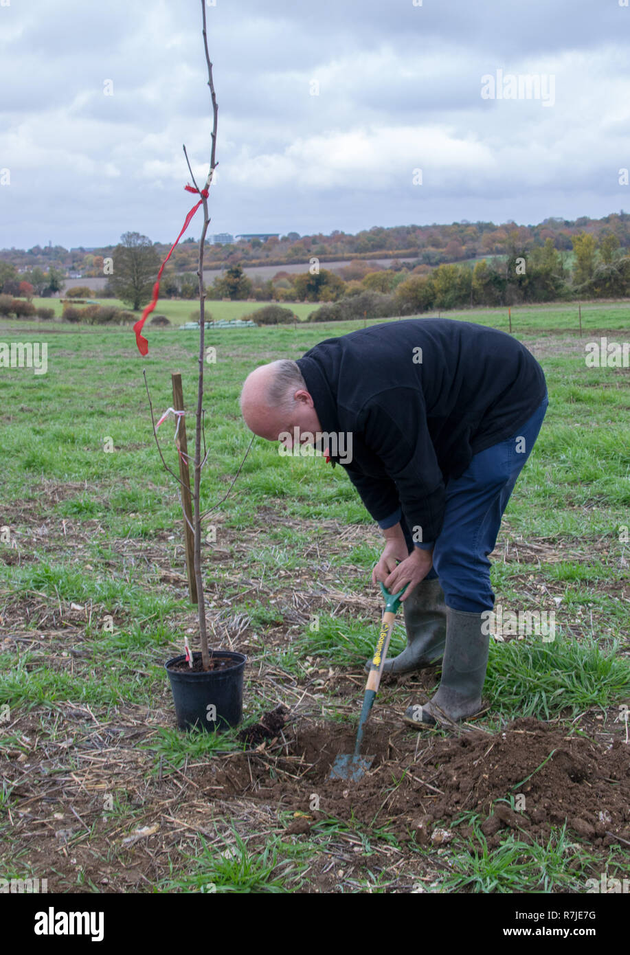 Rt Hon Chris Grayling MP se joint aux enfants des écoles locales à planter 100 arbres au Woodland Trust Langley Vale de bois pour marquer le 100e anniversaire de la fin de la PREMIÈRE GUERRE MONDIALE. Langley Vale bois centenaire est l'Angleterre de la Première Guerre mondiale, le bois du Centenaire sur le bord de l'Epsom Downs, à Surrey. Le bois a commencé en 2014 auront jusqu'200 000 arbres indigènes, comme le hêtre, l'orme, l'aubépine et de chêne et de créer un tapis de fleurs sauvages en grève. Le pays sera transformé en un endroit paisible avec des habitats naturels. En vedette : Rt Hon Chris Grayling MP Où : Epsom, Royaume-Uni Quand : 09 novembre 2018 Crédit : Paul Taylor/W Banque D'Images