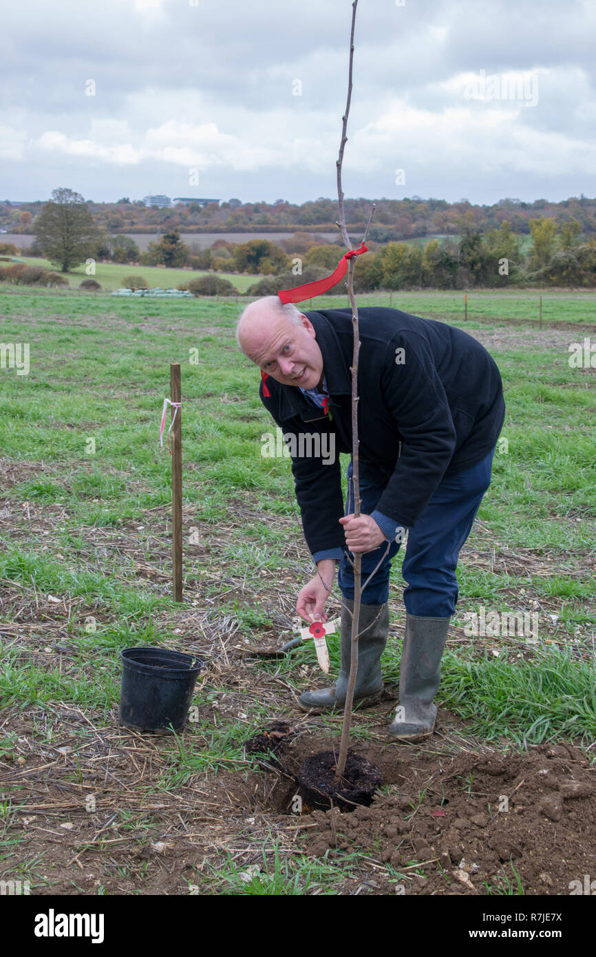 Rt Hon Chris Grayling MP se joint aux enfants des écoles locales à planter 100 arbres au Woodland Trust Langley Vale de bois pour marquer le 100e anniversaire de la fin de la PREMIÈRE GUERRE MONDIALE. Langley Vale bois centenaire est l'Angleterre de la Première Guerre mondiale, le bois du Centenaire sur le bord de l'Epsom Downs, à Surrey. Le bois a commencé en 2014 auront jusqu'200 000 arbres indigènes, comme le hêtre, l'orme, l'aubépine et de chêne et de créer un tapis de fleurs sauvages en grève. Le pays sera transformé en un endroit paisible avec des habitats naturels. En vedette : Rt Hon Chris Grayling MP Où : Epsom, Royaume-Uni Quand : 09 novembre 2018 Crédit : Paul Taylor/W Banque D'Images