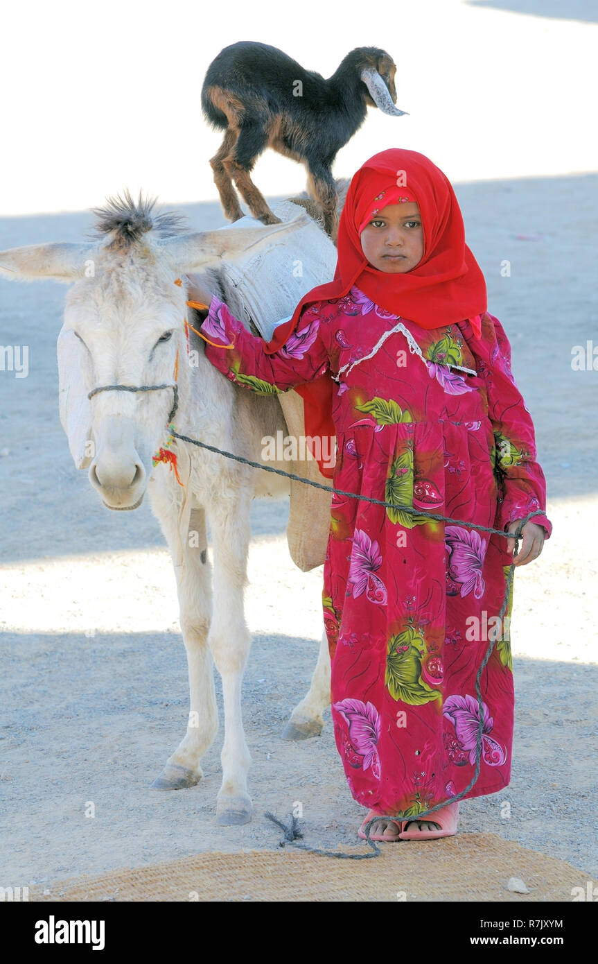 Une jeune fille avec un goatling Bédouin debout sur le dos d'un âne, Hurghada, Egypte Banque D'Images