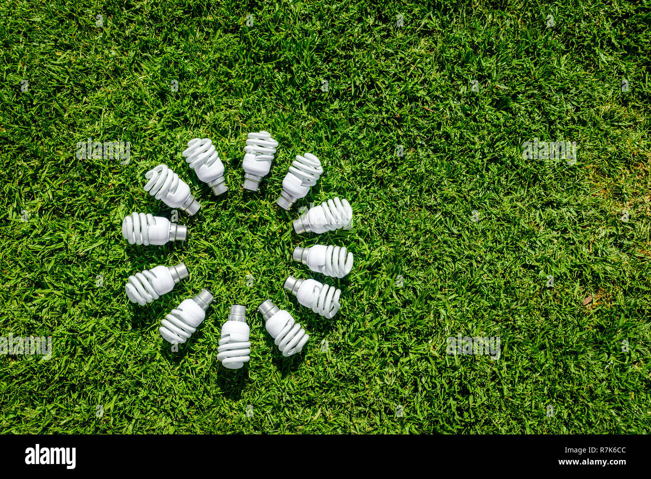 Ampoules à économie d'énergie sur l'herbe formant cercle. Concept d'économie d'énergie Banque D'Images