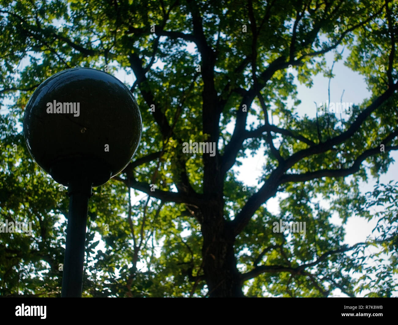 Lampe de rue dans le parc contre un arbre en été, Moscou Banque D'Images