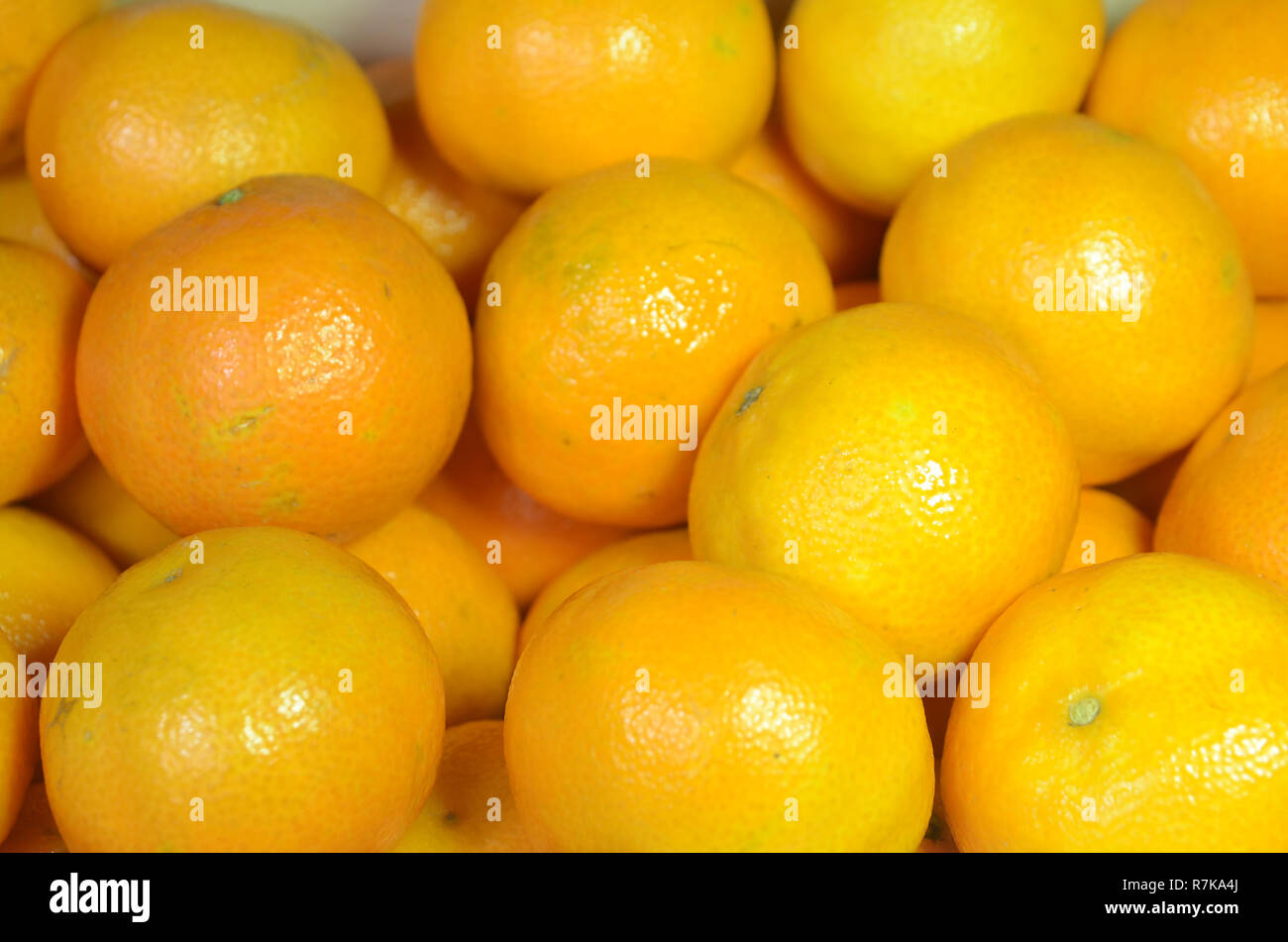 Beaucoup d'orange clémentines, vu à la lumière légèrement vers le côté. Banque D'Images