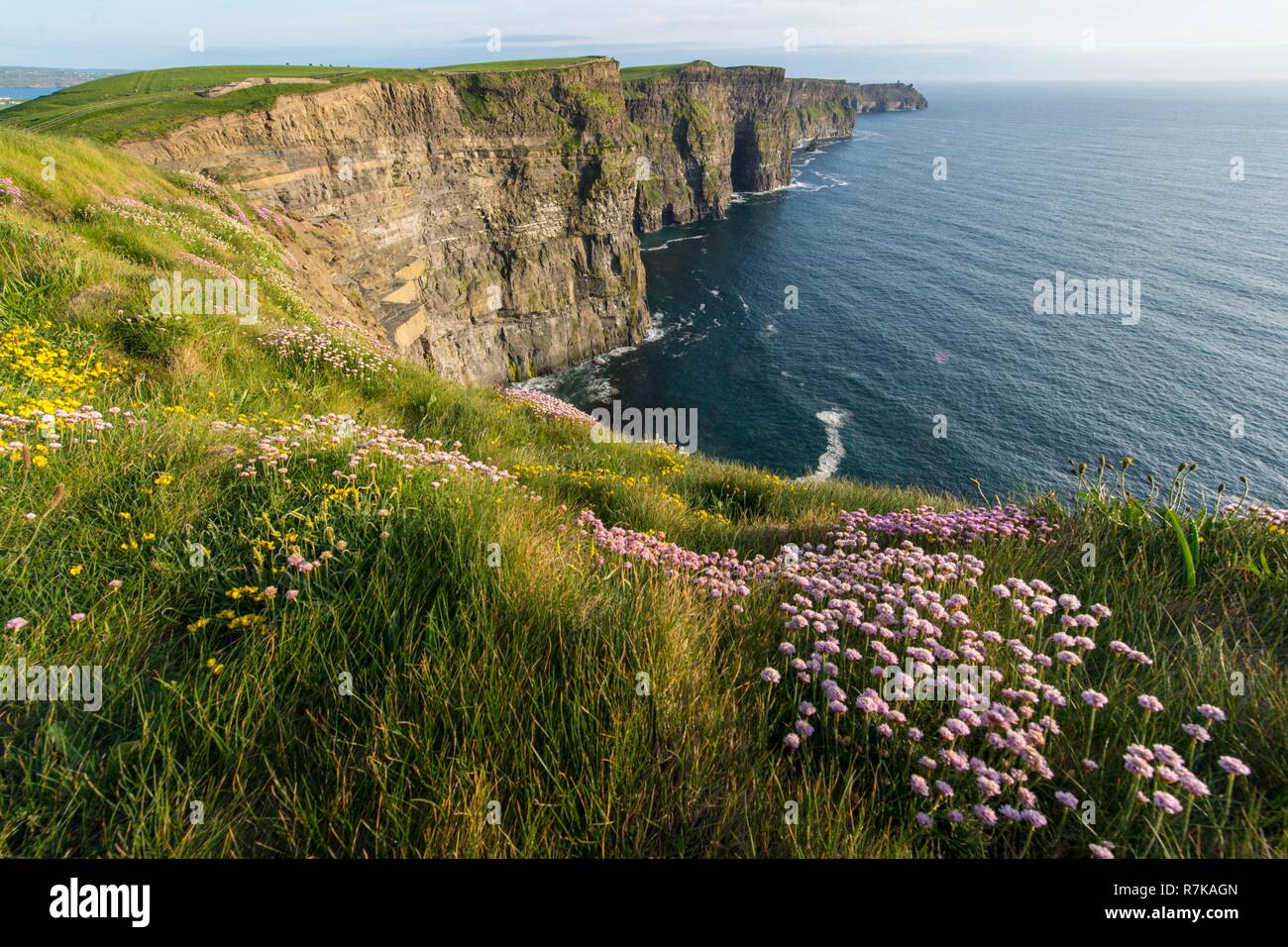 République d'Irlande, le comté de Clare, les Falaises de Moher, classé UNESCO Global Geopark Banque D'Images