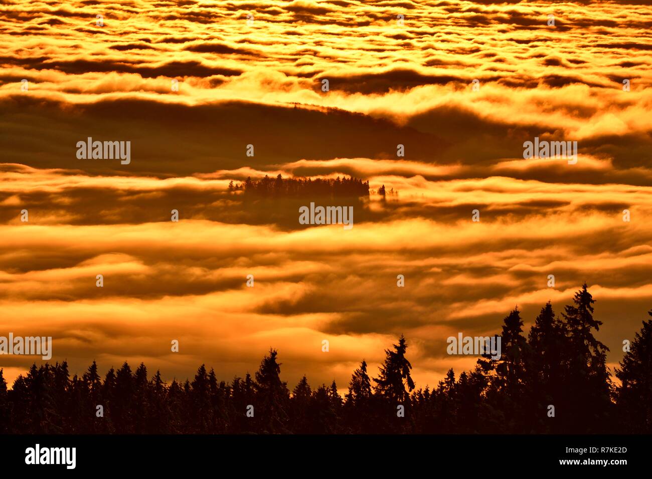 La France, Territoire de Belfort, Massif des Vosges, le Ballon d'Alsace, mer de nuages au coucher du soleil Banque D'Images