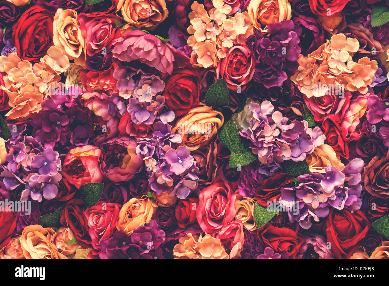De nombreuses fleurs rose, texture de fond flou romantique design Banque D'Images