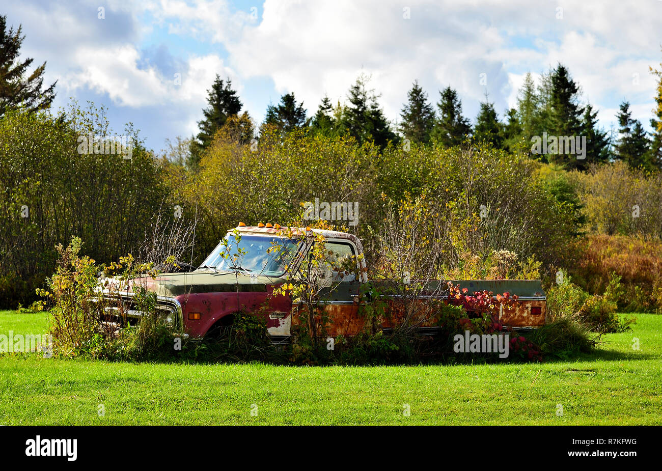 Vieux camion dans les buissons Banque de photographies et d’images à