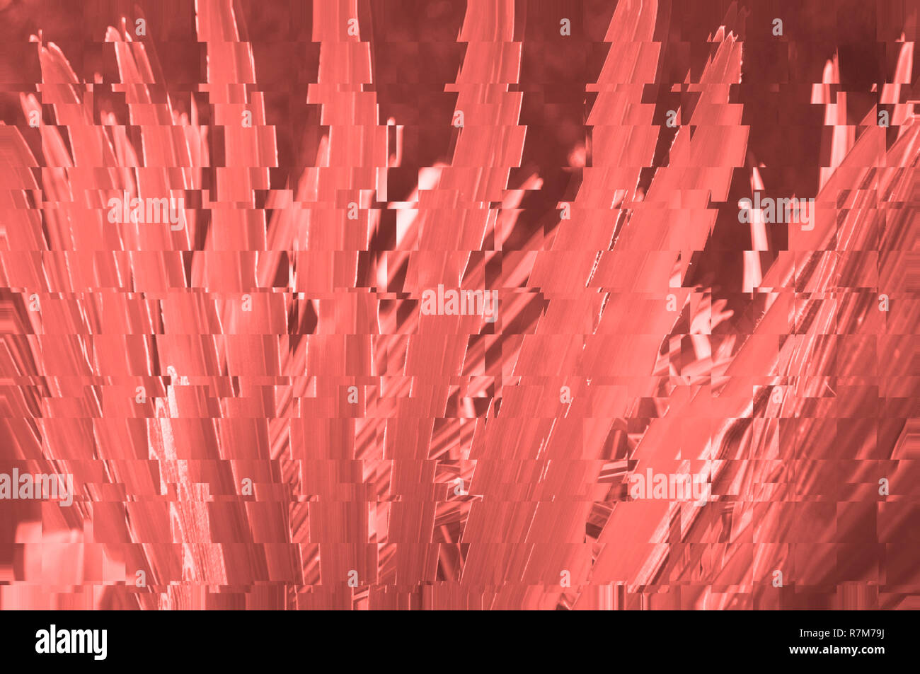 Couleur corail vivant surréaliste feuilles de palmier avec ombres et effet glitch. Banque D'Images