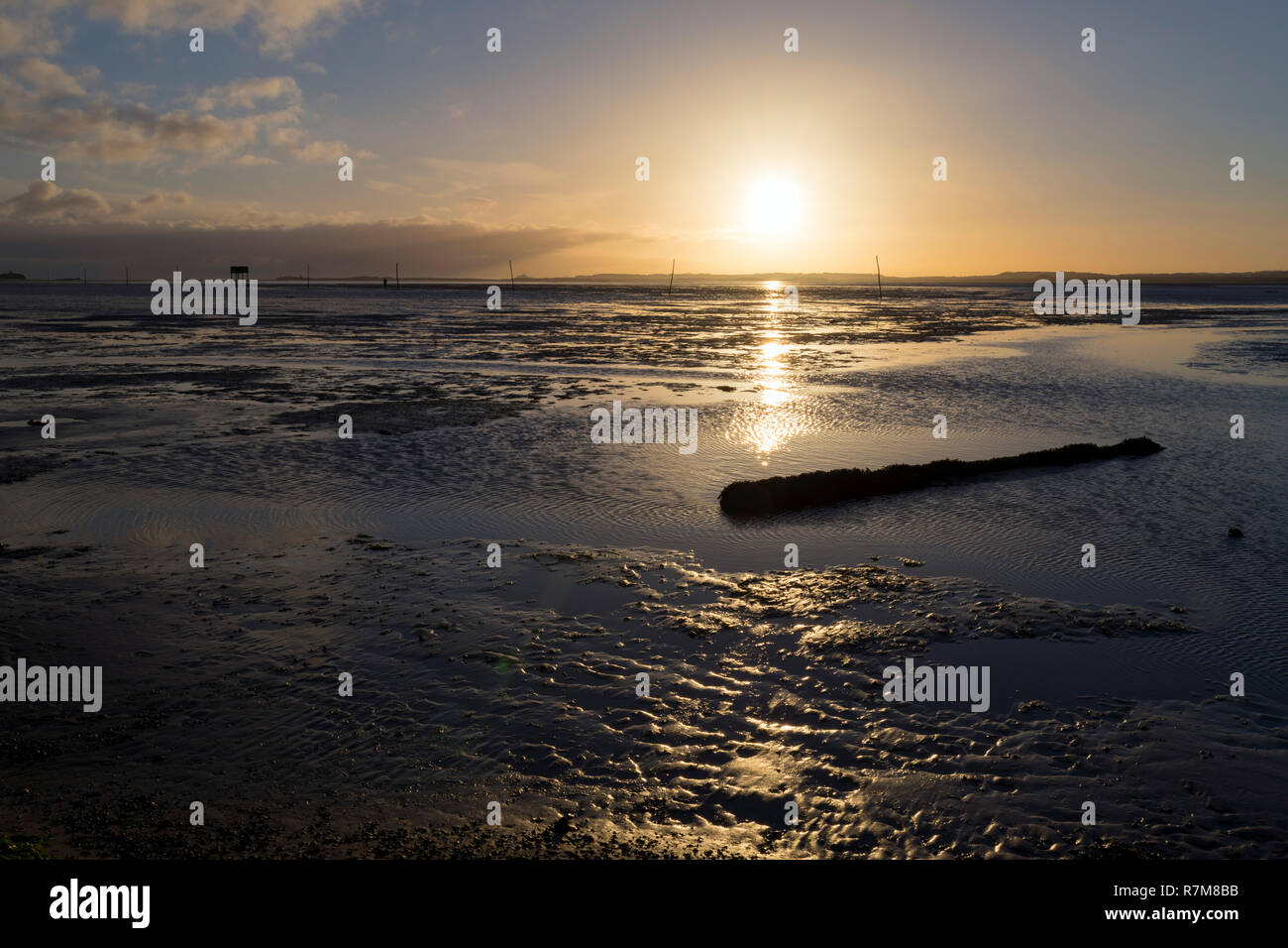 Lever de soleil au sud Basse à partir de la chaussée de Lindisfarne Banque D'Images