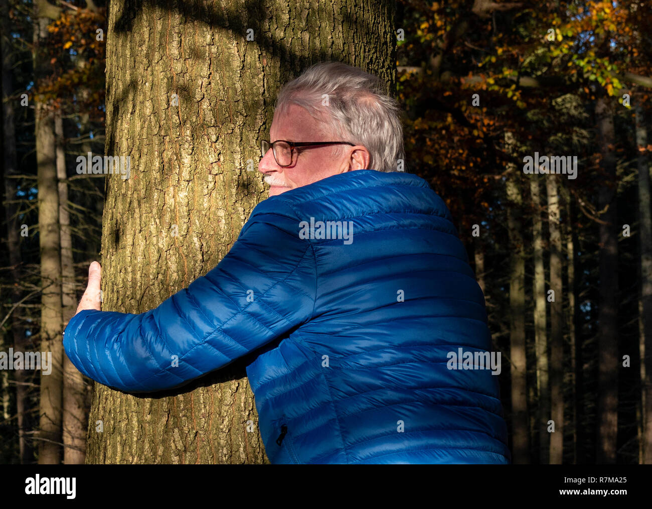 Homme mature qui embrasse un arbre dans un bois à Checkendon, dans le sud de l'Oxfordshire, en Angleterre, au Royaume-Uni Banque D'Images