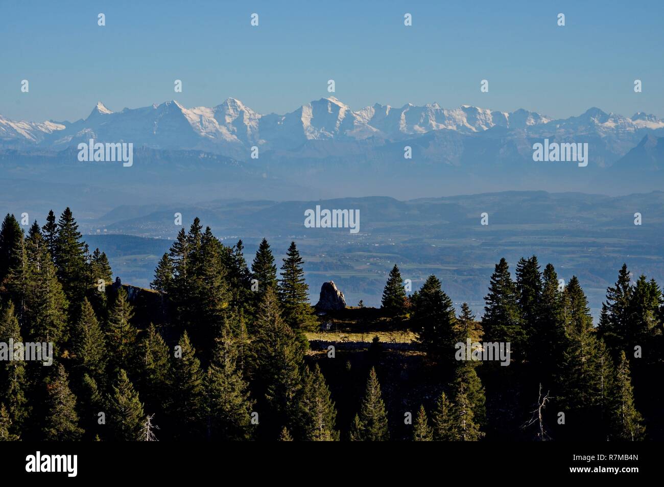 La France, Territoire de Belfort, Massif des Vosges, le Ballon d'Alsace Banque D'Images